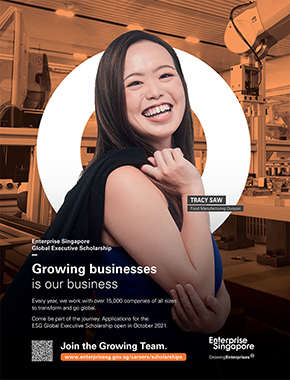 Enterprise Singapore