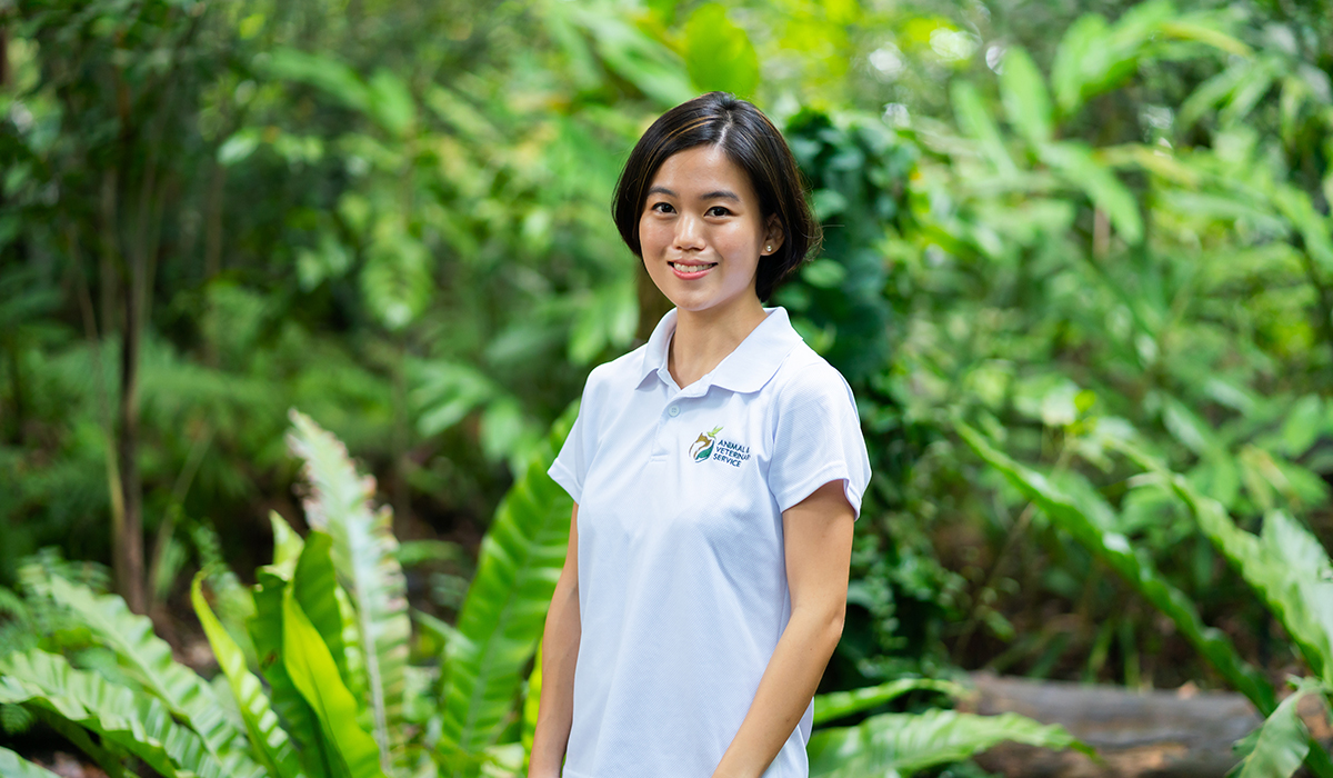 National Parks Board