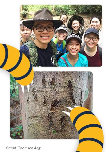 Thomsons photo with tiger claws