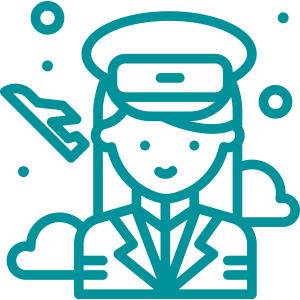 fly icon